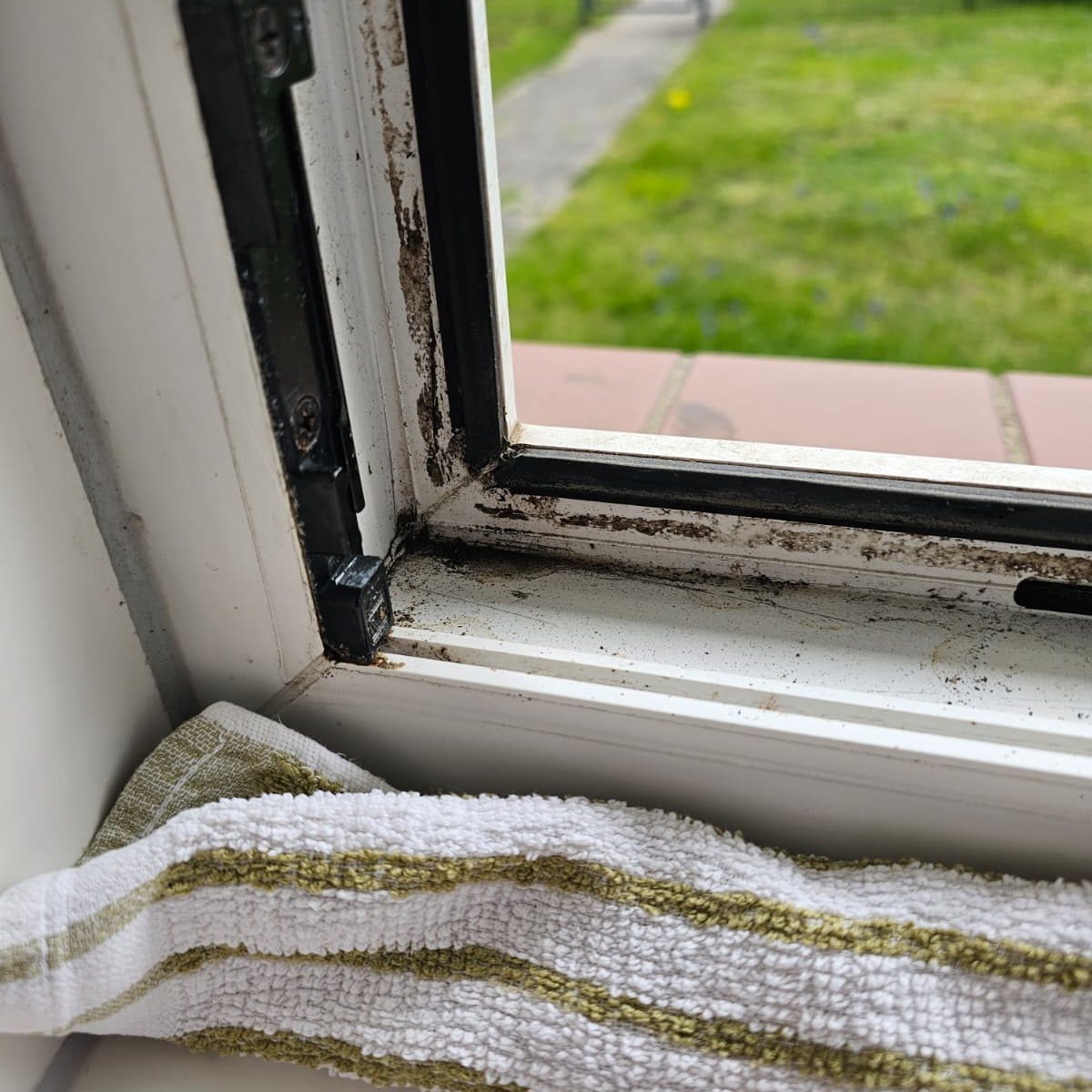 Defekte Fensterdichtung an Fenster in Wismar – Austausch und Reparatur notwendig
